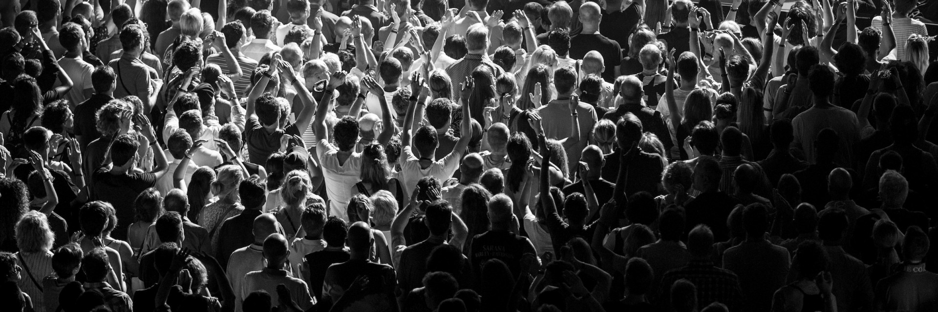 MJF_2019.jpg